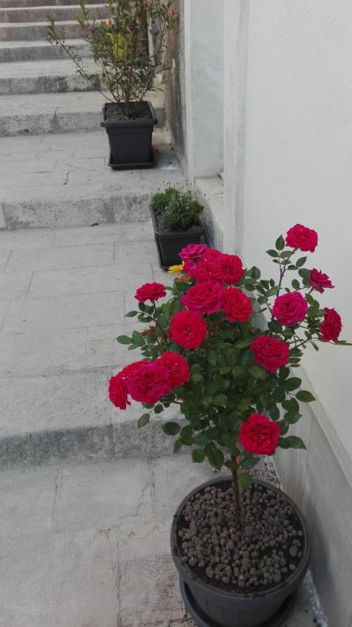 Only For Two Giumbabulla Hotel Ragusa Bagian luar foto