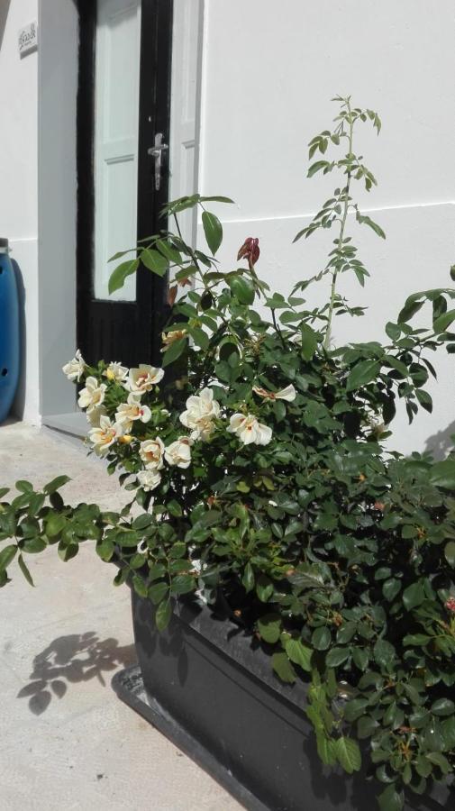Only For Two Giumbabulla Hotel Ragusa Bagian luar foto